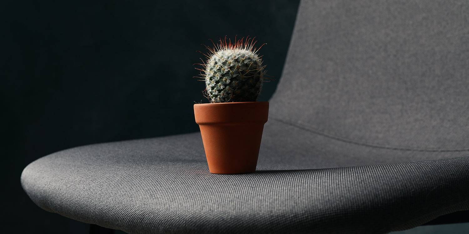 Hemorrhoids — Everything You Need to Know | InaEssentials