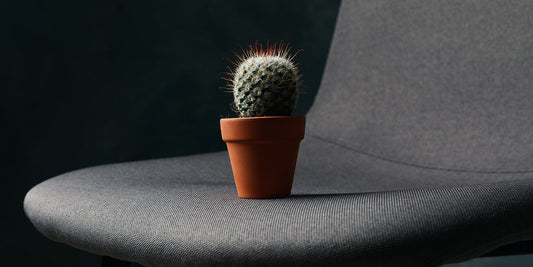 Hemorrhoids — Everything You Need to Know | InaEssentials