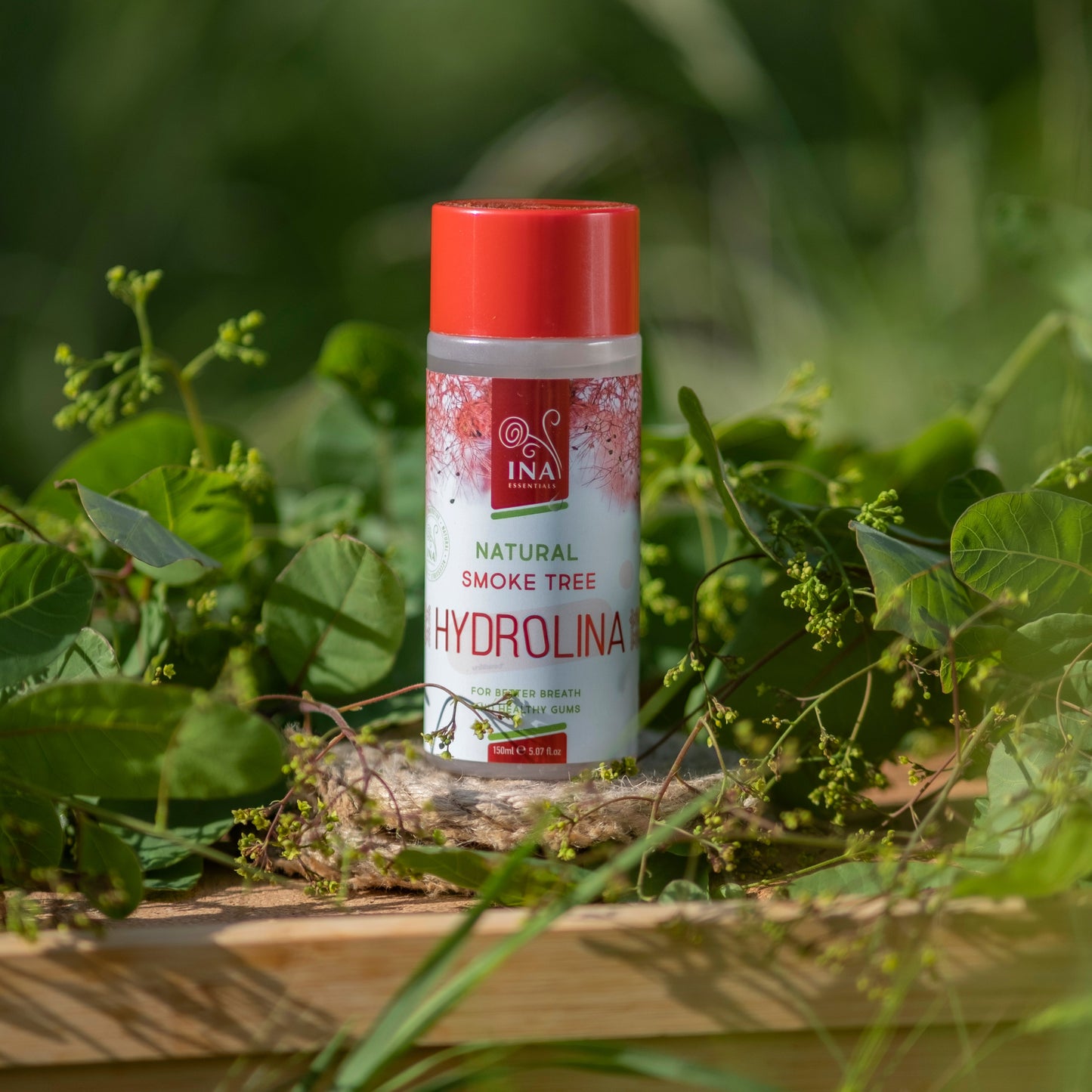 Mouthwash Smoke Tree water - Hydrolina - for Bleeding gums and Bad breath